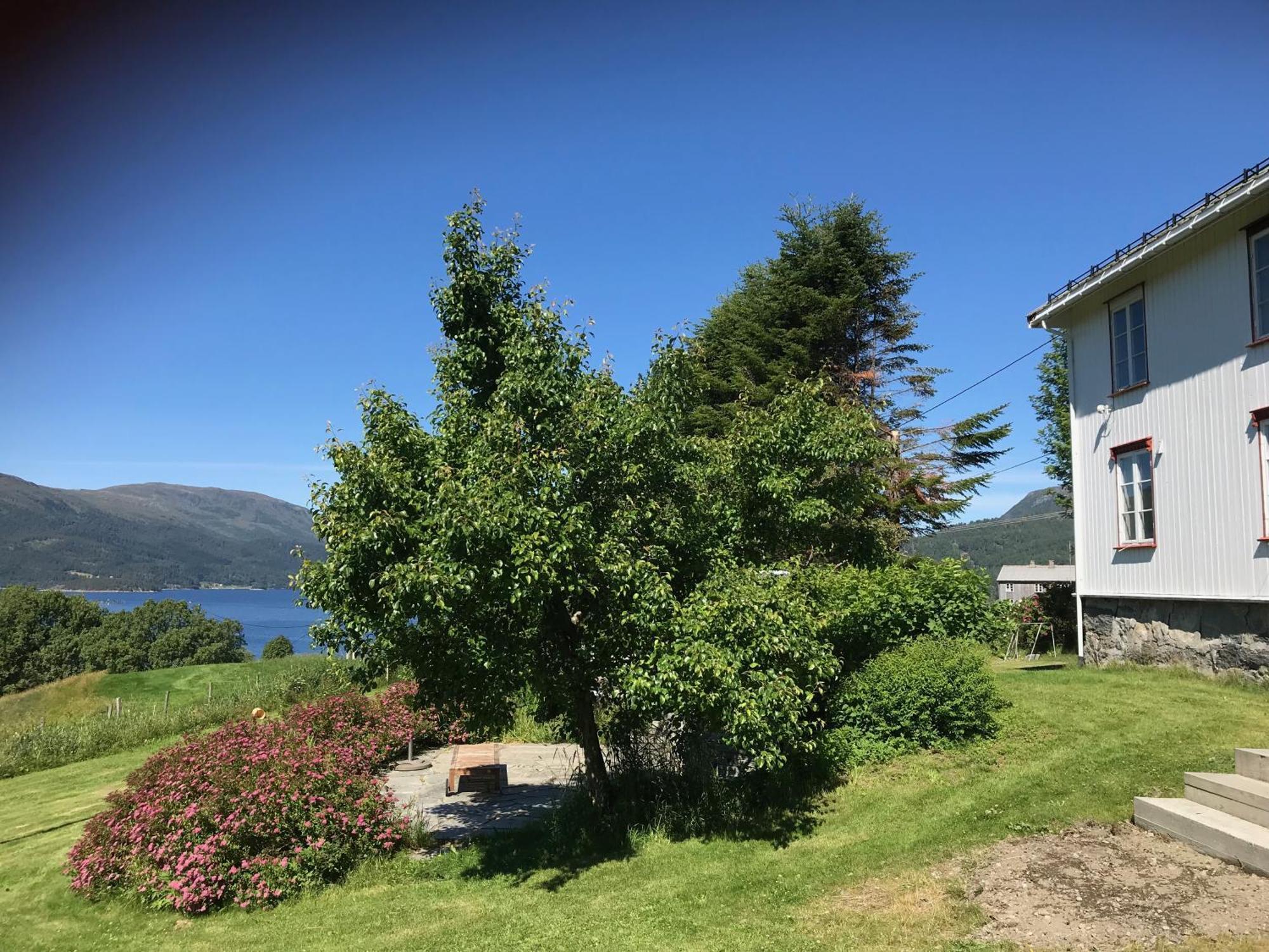 Country house Landlig Idyll Med Fjordutsikt Valsoybotn